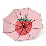 树莓(双层三折伞)
