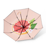 西柚(双层三折伞)