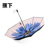 蟹菊