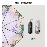 芷蕊