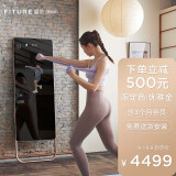 优雅金（含3个月FITURE会员）